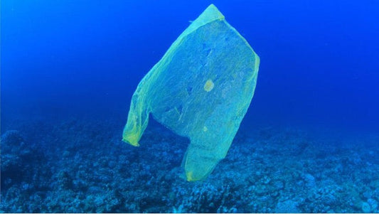 How Many Plastic Bags Are Used Annually?